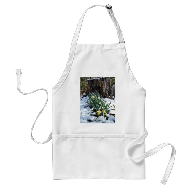 Yellow Daffodils in the snow Standard Apron (Front)