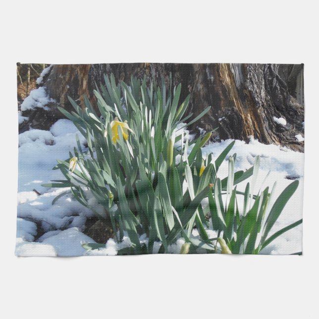Yellow Daffodils in the snow Tea Towel (Horizontal)