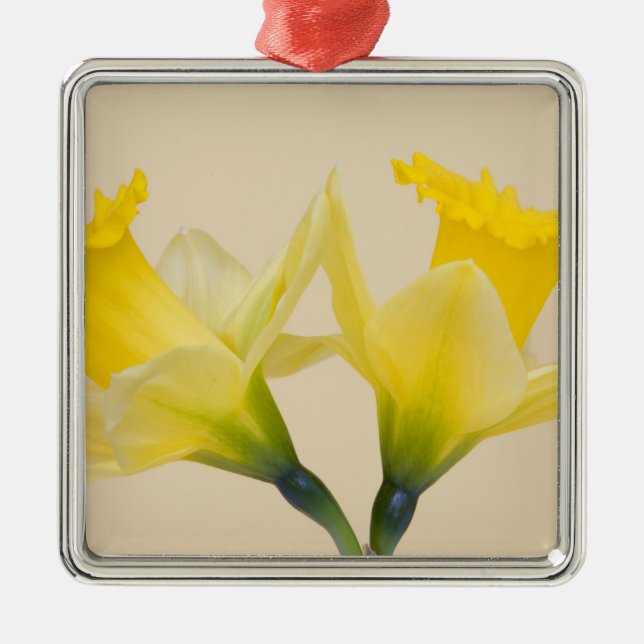 Yellow daffodils metal ornament (Front)