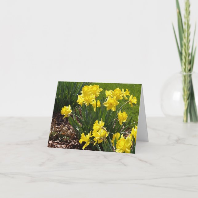 Yellow Daffodils Note Card (Front)