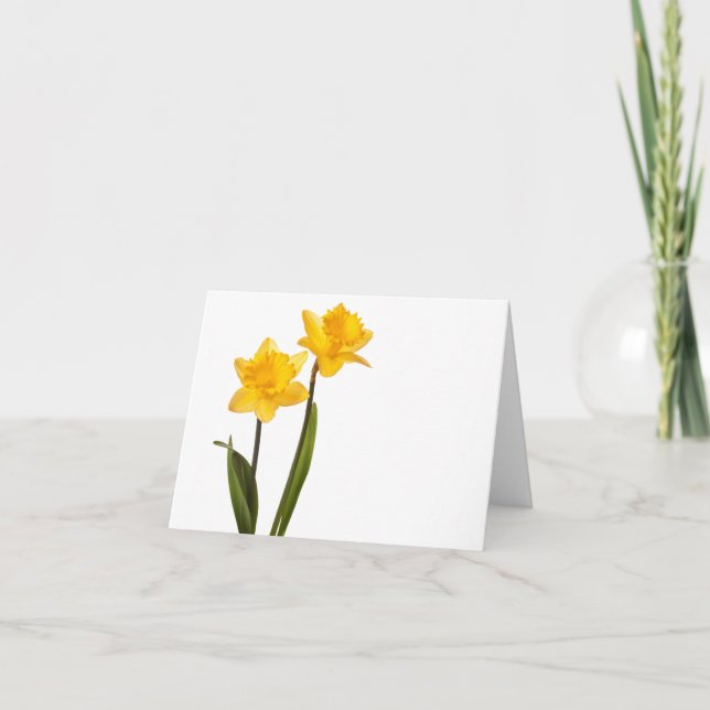 Yellow Daffodils on White - Daffodil Flower Blank Card (Front)