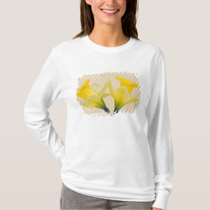 Yellow daffodils T-Shirt