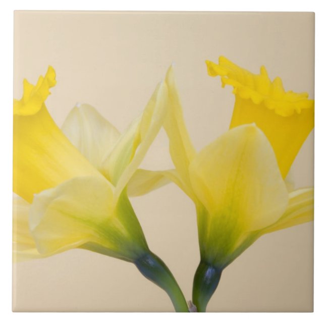 Yellow daffodils tile (Front)