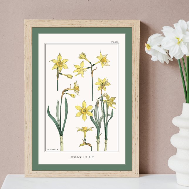 Yellow Daffodils Verneuil Illustration Poster (Creator Uploaded)
