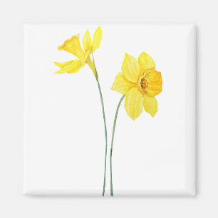 yellow daffodils watercolor painting magnet