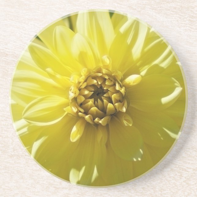 Yellow Dahlia Coaster (Front)
