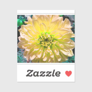 Yellow Dahlia Flower