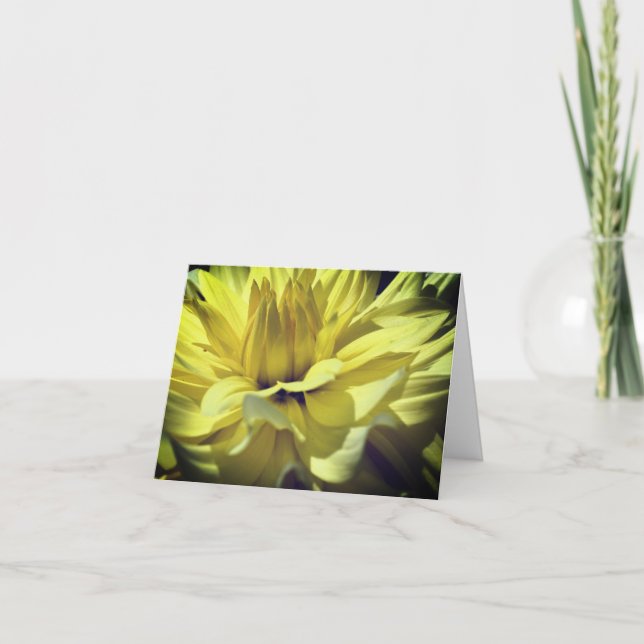 Yellow Dahlia Flower Blank Note Card (Front)