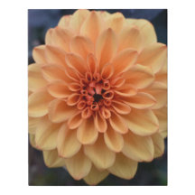 Yellow Dahlia Flower Faux Wrapped Canvas Small
