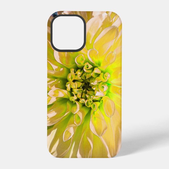 Yellow Dahlia Flower iPhone Case (Back)
