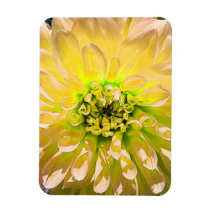 Yellow Dahlia Flower Magnet