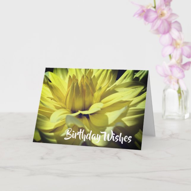 Yellow Dahlia Flower Petals Birthday  Card (Orchid)