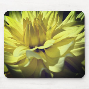 Yellow Dahlia Flower Petals Up Close Mouse Pad