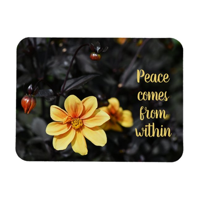 Yellow Dahlia Flowers Wisley Gardens Motivational Magnet (Horizontal)