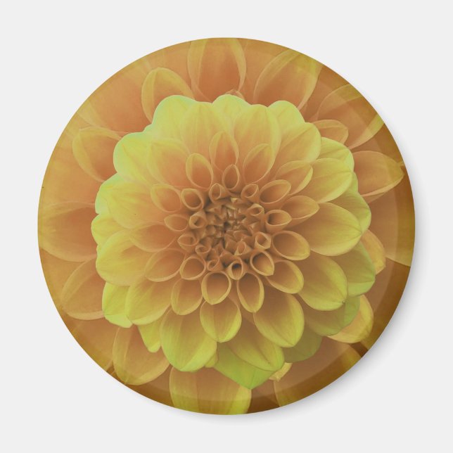 Yellow Dahlia Magnet (Front)