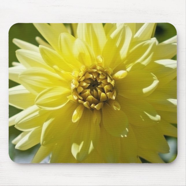 Yellow Dahlia Mousepad (Front)