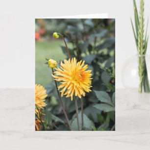 Yellow Dahlia Note Card