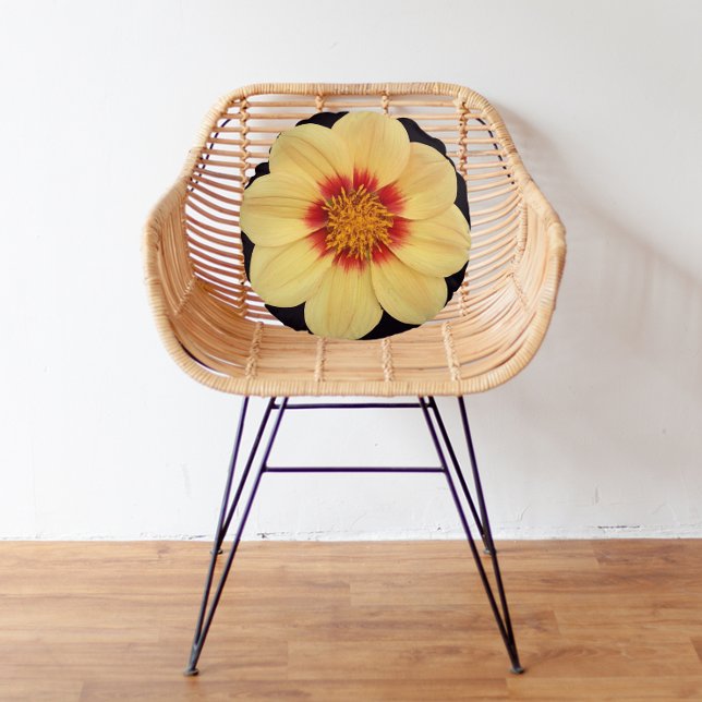 Yellow Dahlia on Black Floral Round Cushion (In Situ)