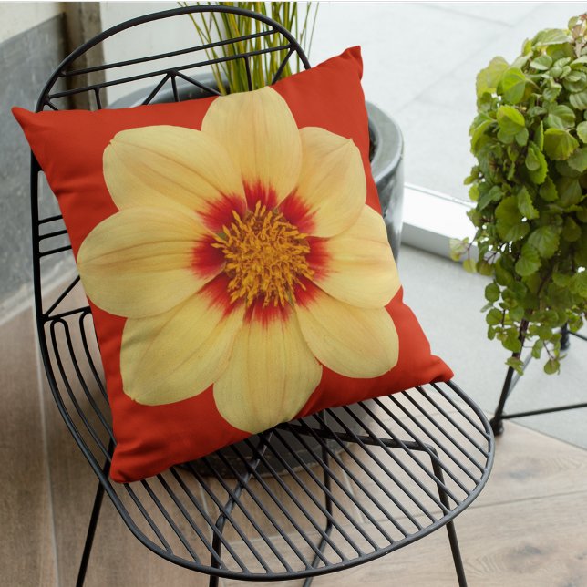 Yellow Dahlia on Red Floral Cushion (In Situ Patio)