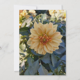 Yellow Dahlia Summer Flower Blank Greeting Card