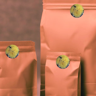 yellow dahlias -painting classic round sticker