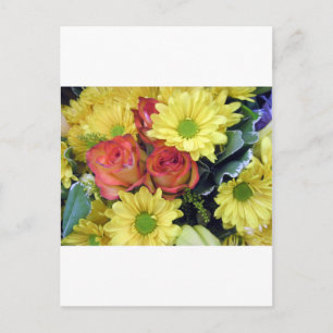 Yellow Daisies and Red Roses Postcard
