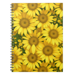 Yellow Daisies Notebook