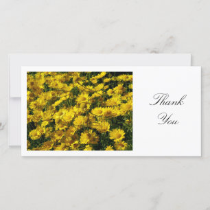 Yellow Daisies - Thank You Card