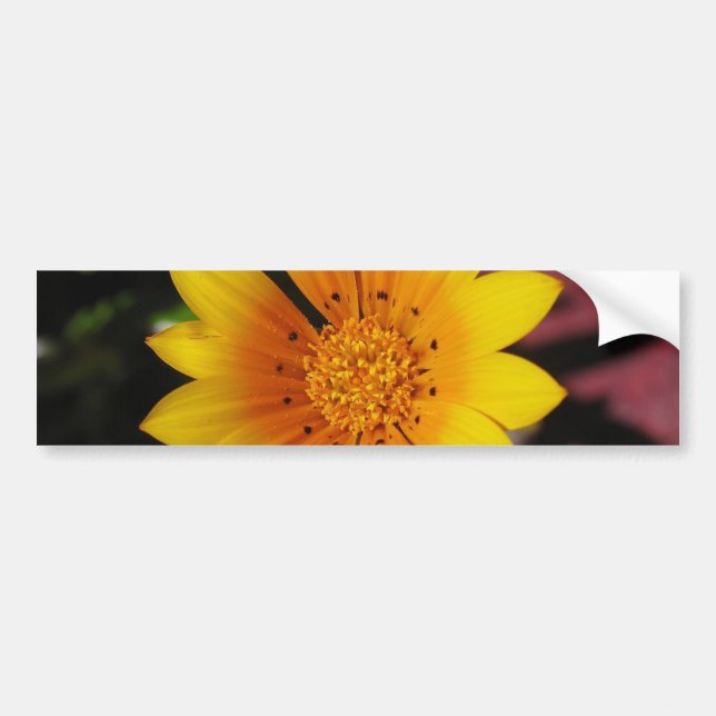 Yellow Daisy Bumper Sticker (Front)