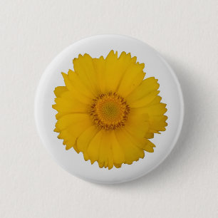 Yellow Daisy Button