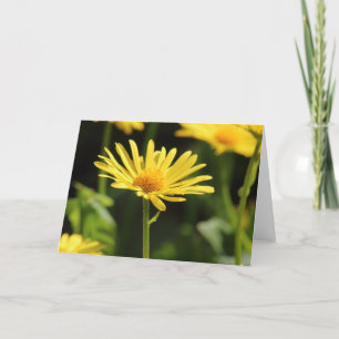 Yellow Daisy Card