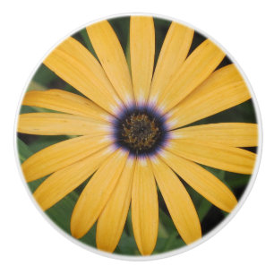Yellow Daisy Ceramic Knob