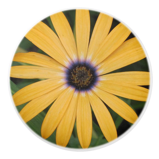Yellow Daisy Ceramic Knob (Front)