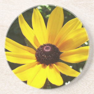 Yellow Daisy Coaster