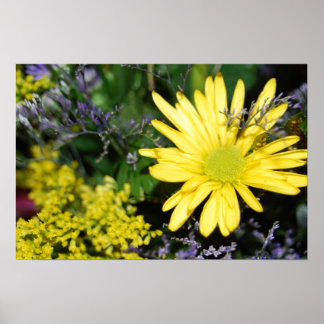 Yellow Daisy Floral Arrangement Print