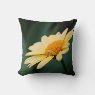Yellow Daisy Flower Close Up  Cushion