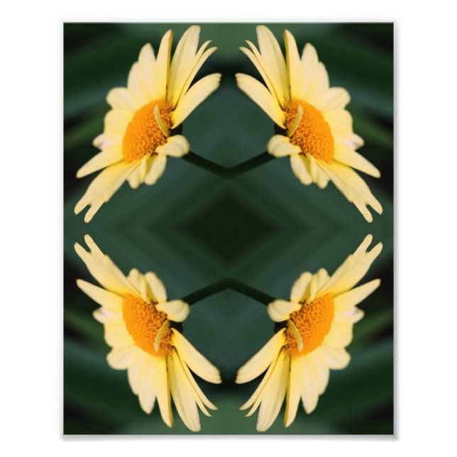 Yellow Daisy Flower Close Up Mirror Abstract 8x10 Photo Print (Front)