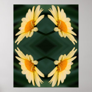 Yellow Daisy Flower Close Up Mirror Abstract  Poster