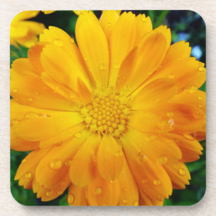 yellow daisy flower coaster