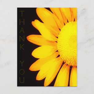 Yellow Daisy Flower Floral Artwork Thank You Postcard