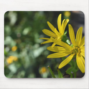Yellow Daisy Flower Floral Nature Photography Mouse Pad
