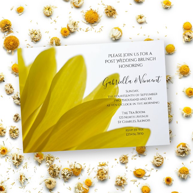 Yellow Daisy Flower Petals Post Wedding Brunch Invitation (Creator Uploaded)
