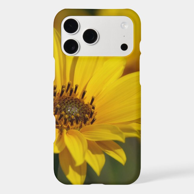 Yellow Daisy Helenium (Back)