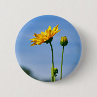 Yellow Daisy Helenium Badge