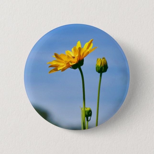 Yellow Daisy Helenium Badge (Front)