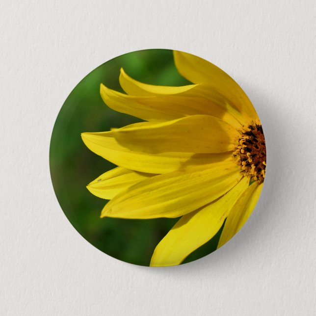 Yellow Daisy Helenium Badge (Front)