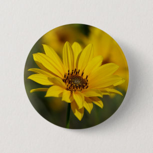 Yellow Daisy Helenium Badge