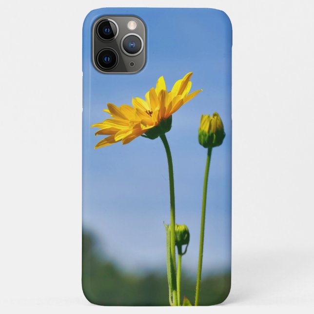 Yellow Daisy Helenium Case-Mate iPhone Case (Back)