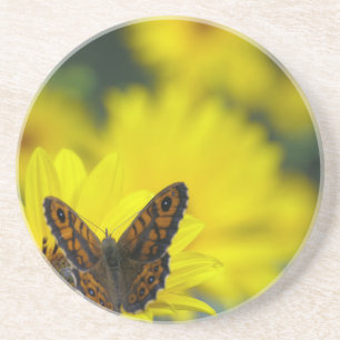 Yellow Daisy Helenium Coaster