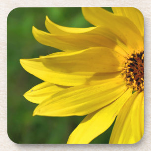 Yellow Daisy Helenium Coaster